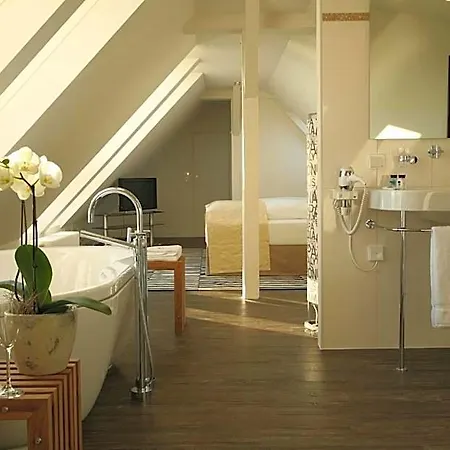 Seenelke 4*